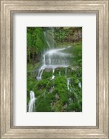 Framed Moss Waterfall