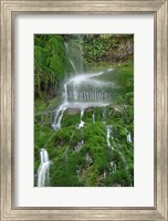 Framed Moss Waterfall