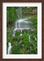 Framed Moss Waterfall