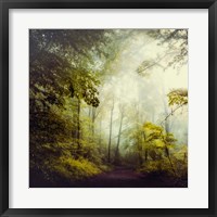 Framed Glorious Woods