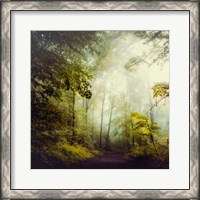 Framed Glorious Woods