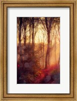 Framed Seasons Light