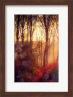 Framed Seasons Light