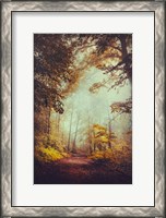 Framed Silent Forest