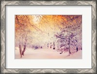 Framed Snowy Sunrise