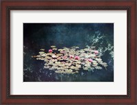 Framed Waterlilies