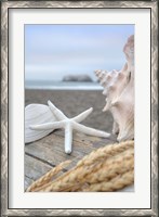 Framed Crescent Beach Shells 12