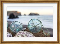 Framed Crescent Beach Shells 16