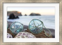 Framed Crescent Beach Shells 16