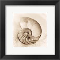 Framed 'Il Oceano No. 4' border=