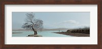 Framed Lagoon Oak Tree