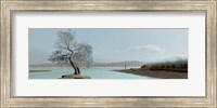 Framed Lagoon Oak Tree