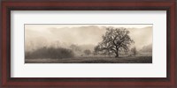 Framed Meadow Oak Tree