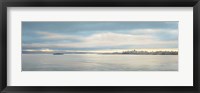 Framed Morning Vista across the Bay