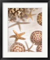 Framed Nautical Illuminations No.3