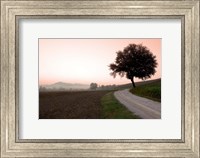Framed Toscana Valle No.1