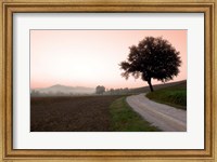 Framed Toscana Valle No.1
