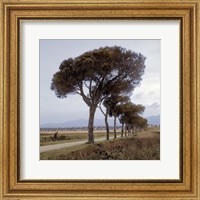 Framed Tuscan Fatorria Strada No. 1