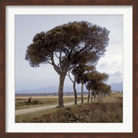 Framed Tuscan Fatorria Strada No. 1