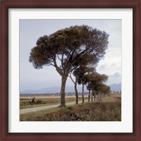 Framed Tuscan Fatorria Strada No. 1