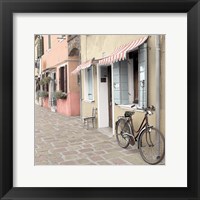 Framed Venetian Bicycle