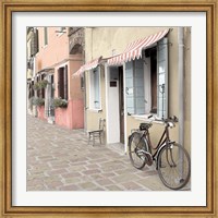 Framed Venetian Bicycle