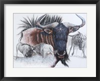 Framed Wildebeest