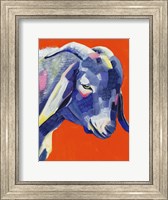 Framed Animal Party III