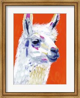 Framed Animal Party IV