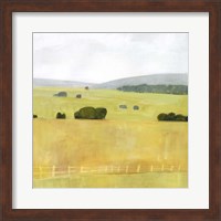 Framed Soft Fieldscape I