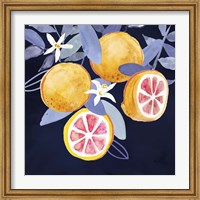Framed Fresh Fruit III