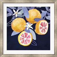 Framed Fresh Fruit III