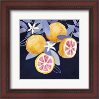 Framed Fresh Fruit III