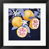 Framed Fresh Fruit III