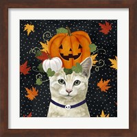 Framed 'Halloween Cat I' border=