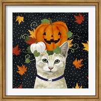 Framed Halloween Cat I