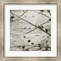 Framed 'Laced Sky IV' border=