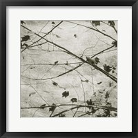 Laced Sky IV Framed Print