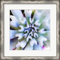 Framed Succulente I