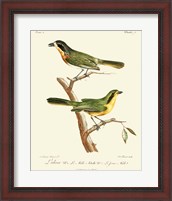 Framed Vintage French Birds VI