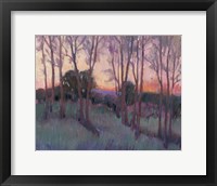 Framed Morning Light II