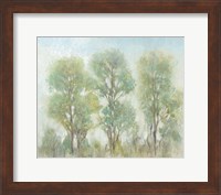 Framed Muted Trees I