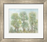 Framed Muted Trees I
