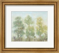 Framed Muted Trees II