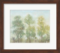 Framed Muted Trees II