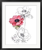 Framed Anemone by Number II