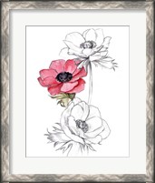 Framed Anemone by Number II