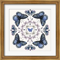 Framed Butterfly Mandala II