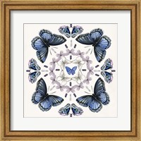 Framed Butterfly Mandala II