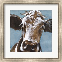 Framed Cow Kisses II